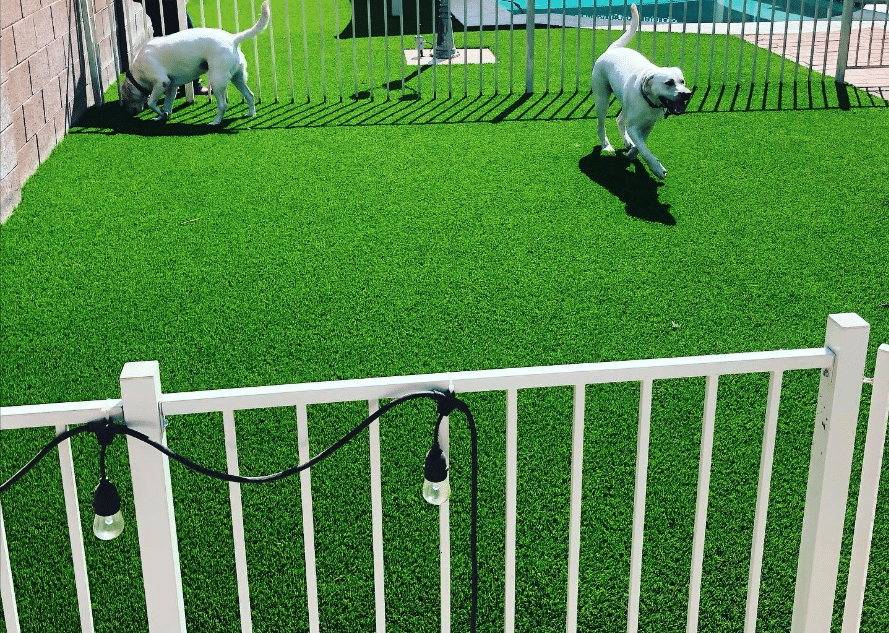 Pet Turf