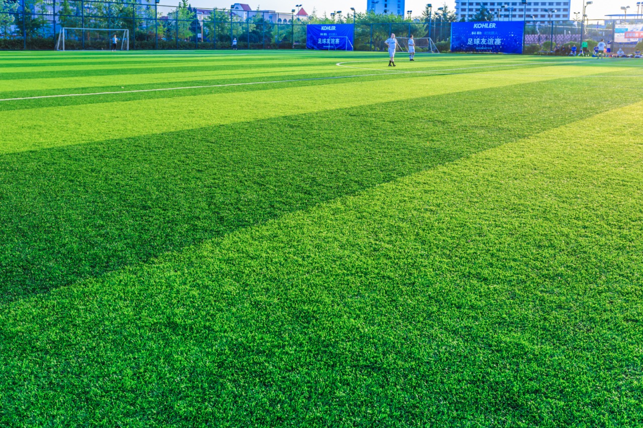 Sports Turf